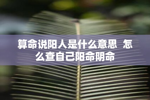算命说阳人是什么意思  怎么查自己阳命阴命