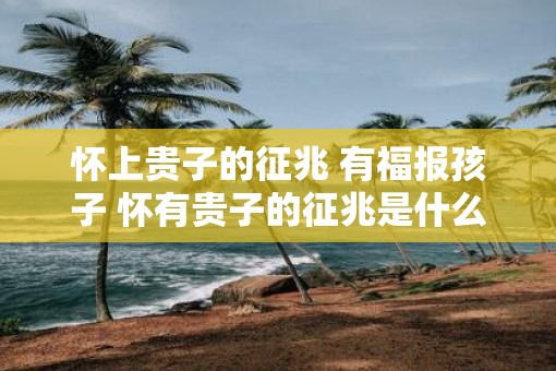 怀上贵子的征兆 有福报孩子 怀有贵子的征兆是什么