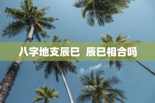 八字地支辰巳  辰巳相合吗