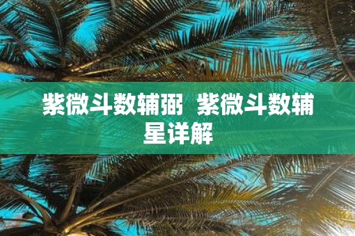 紫微斗数辅弼  紫微斗数辅星详解