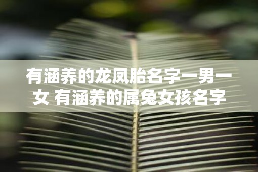 有涵养的龙凤胎名字一男一女 有涵养的属兔女孩名字