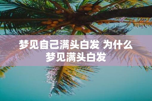 梦见自己满头白发 为什么梦见满头白发