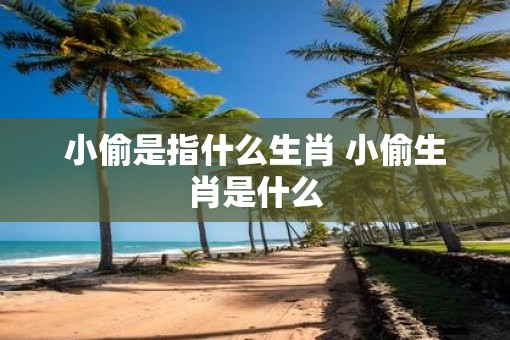 小偷是指什么生肖 小偷生肖是什么