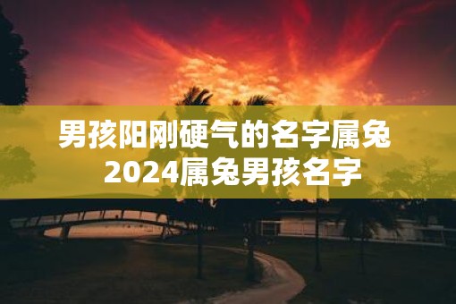 男孩阳刚硬气的名字属兔  2025属兔男孩名字
