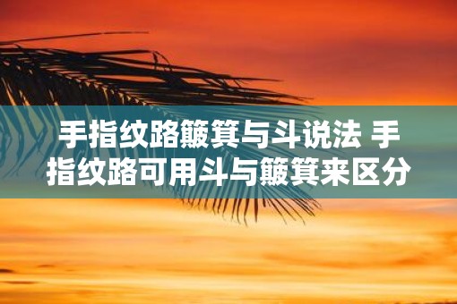 手指纹路簸箕与斗说法 手指纹路可用斗与簸箕来区分吗