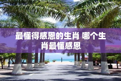 最懂得感恩的生肖 哪个生肖最懂感恩