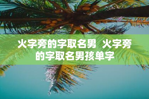 火字旁的字取名男  火字旁的字取名男孩单字