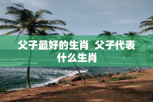 父子最好的生肖  父子代表什么生肖