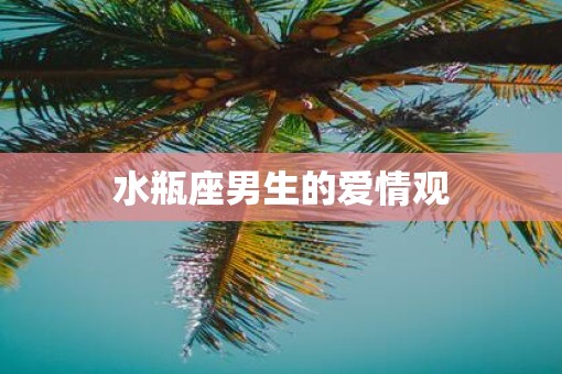 水瓶座男生的爱情观 水瓶座男生的爱情观
