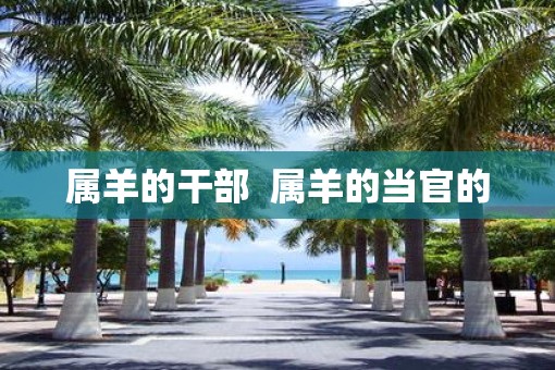 属羊的干部  属羊的当官的