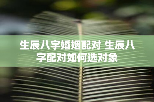 生辰八字婚姻配对 生辰八字配对如何选对象