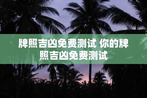 牌照吉凶免费测试 你的牌照吉凶免费测试