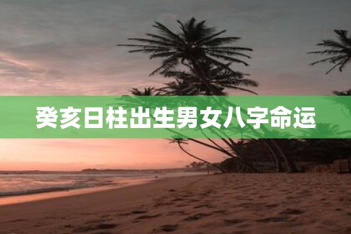 癸亥日柱出生男女八字命运