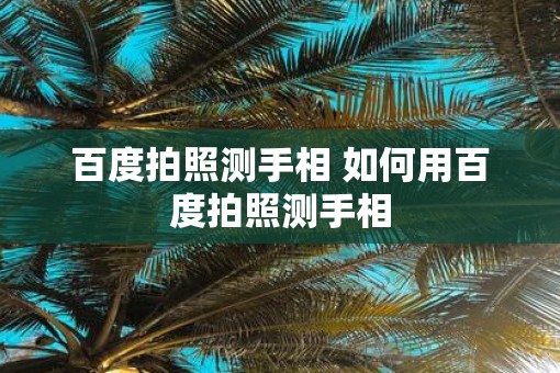 百度拍照测手相 如何用百度拍照测手相