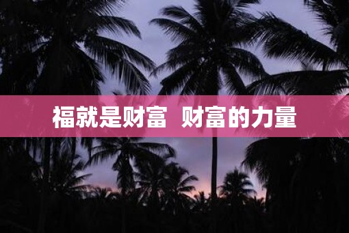 福就是财富  财富的力量
