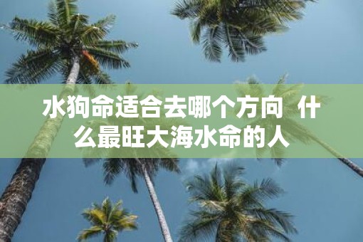 水狗命适合去哪个方向  什么最旺大海水命的人