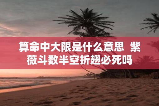 算命中大限是什么意思  紫薇斗数半空折翅必死吗