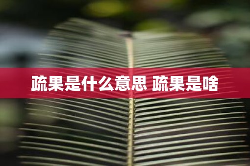 疏果是什么意思 疏果是啥