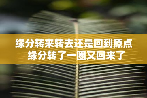 缘分转来转去还是回到原点  缘分转了一圈又回来了