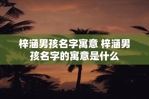 梓涵男孩名字寓意 梓涵男孩名字的寓意是什么