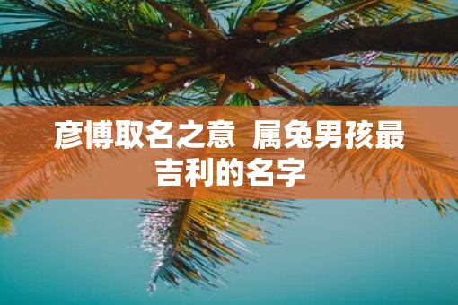彦博取名之意  属兔男孩最吉利的名字