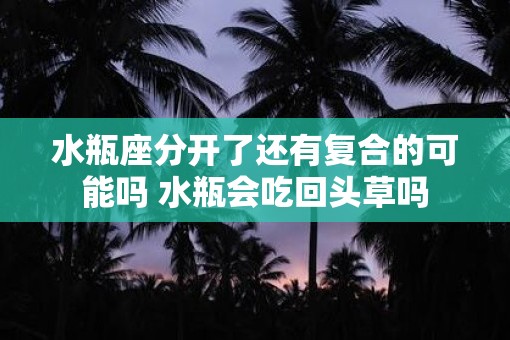 水瓶座分开了还有复合的可能吗 水瓶会吃回头草吗