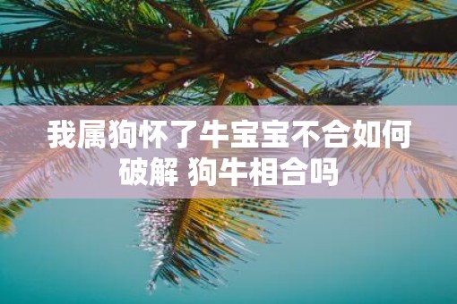 我属狗怀了牛宝宝不合如何破解 狗牛相合吗