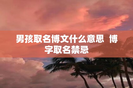 男孩取名博文什么意思  博字取名禁忌