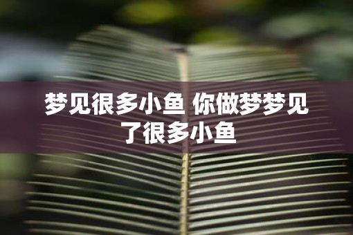 梦见很多小鱼 你做梦梦见了很多小鱼
