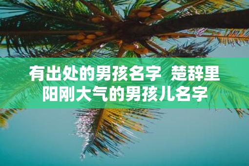 有出处的男孩名字  楚辞里阳刚大气的男孩儿名字