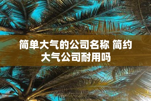 简单大气的公司名称 简约大气公司耐用吗