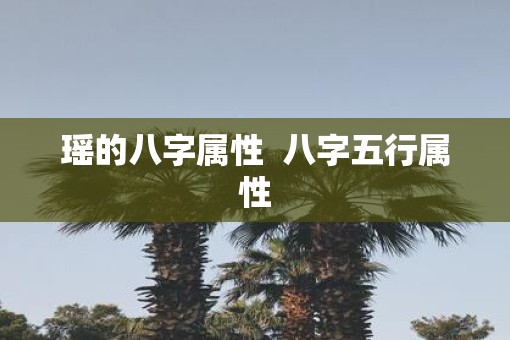 瑶的八字属性  八字五行属性
