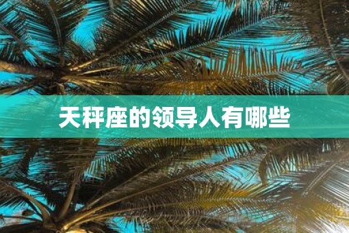 天秤座的领导人有哪些
