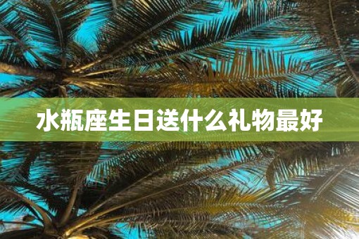 水瓶座生日送什么礼物最好