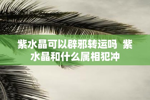 紫水晶可以辟邪转运吗  紫水晶和什么属相犯冲