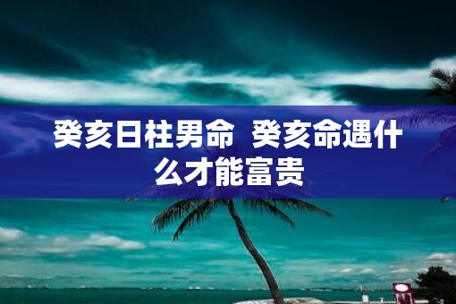 癸亥日柱男命  癸亥命遇什么才能富贵