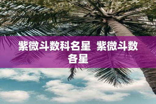 紫微斗数科名星 紫微斗数各星 紫微斗数科名星 紫微斗数各星
