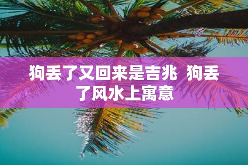 狗丢了又回来是吉兆  狗丢了风水上寓意