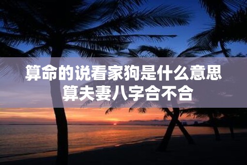 算命的说看家狗是什么意思  算夫妻八字合不合