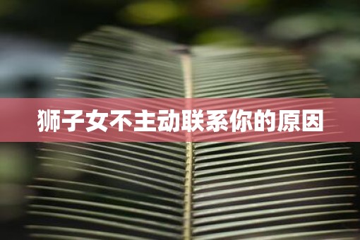 狮子女不主动联系你的原因