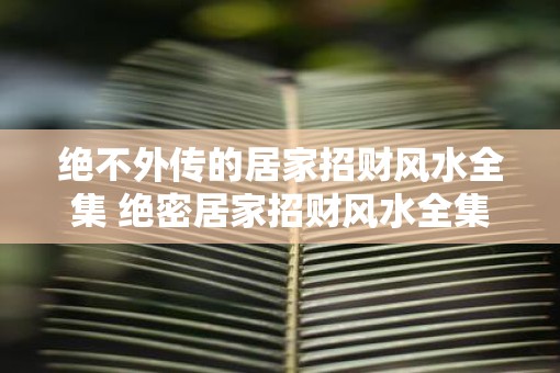 绝不外传的居家招财风水全集 绝密居家招财风水全集真的靠谱吗