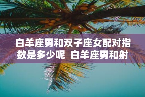 白羊座男和双子座女配对指数是多少呢  白羊座男和射手女配对指数