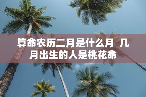 算命农历二月是什么月  几月出生的人是桃花命
