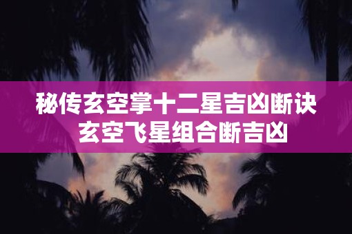 秘传玄空掌十二星吉凶断诀  玄空飞星组合断吉凶