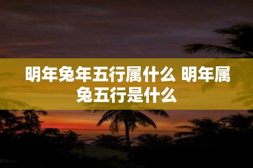 明年蛇年五行属什么 明年属兔五行是什么