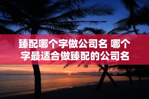 臻配哪个字做公司名 哪个字最适合做臻配的公司名