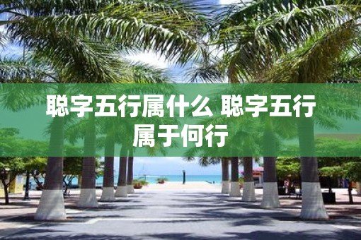 聪字五行属什么 聪字五行属于何行