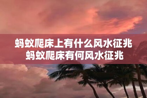 蚂蚁爬床上有什么风水征兆 蚂蚁爬床有何风水征兆