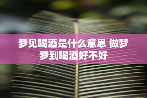 梦见喝酒是什么意思 做梦梦到喝酒好不好