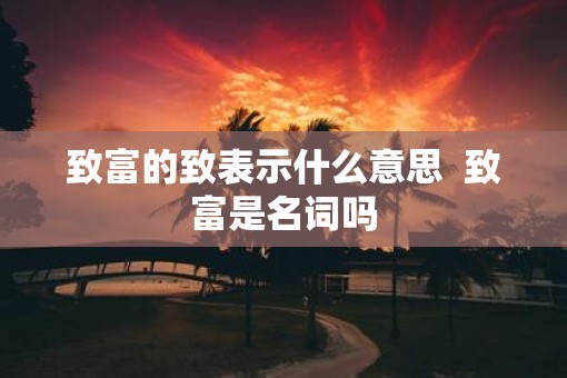 致富的致表示什么意思  致富是名词吗